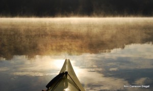 “I go to nature to be soothed and healed and to have my senses put in order”. John Burroughs Much of that soothing and reordering happens during dawn hours, as I glide through calm waters in my kayak. Making nary a sound and only a ribbon of a ripple, I blen into my surroundings unnoticed by the blue heron stalking its breakfast or the eagle surveying its territory. As the morning mist lifts, the promise of enticing new experiences spreads before me. It’s invigorating!